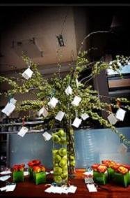 Naranja y Verde manzana: Pura frescura