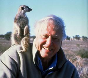 David Attenborough David Attenborough