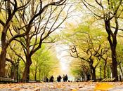 Otoño Nueva York
