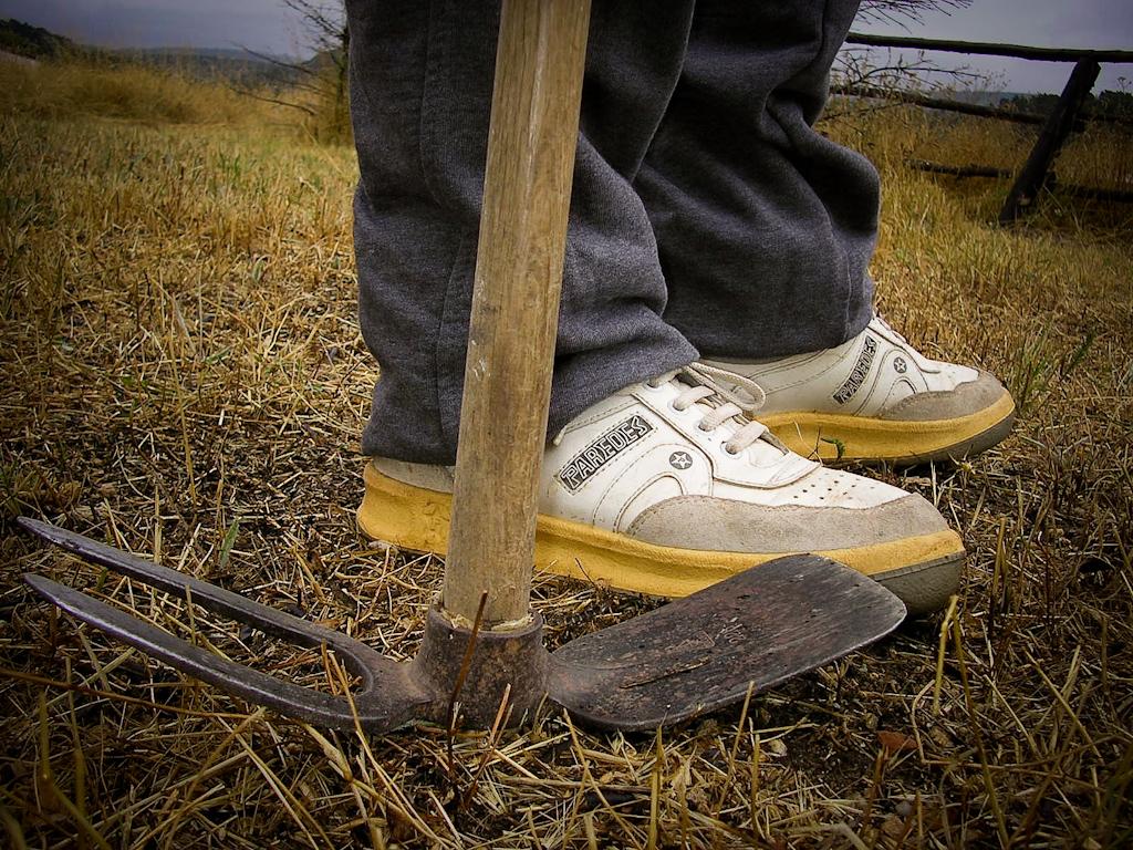 Pseudo sneakerheads no urbanitas