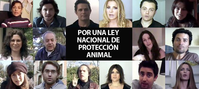 Los famosos exigen una Ley Nacional de Protección Animal