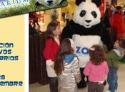 Aquarium, actividades Metro Madrid