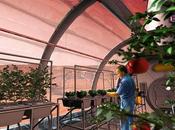 ¿Podemos cultivar otros planetas?