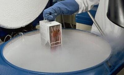 Duerme congelado ahora y despierta en el futuro