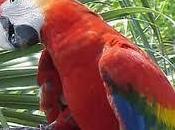 ¡¡VIVA ZAPATERO !!... COÑO! (Humor desesperado para desempleados demócratas dolidos)