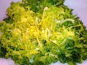 tiempo ..... escarolas.-