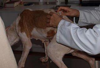 La lección de Cata merece recompensa... tu hogar (Granada)