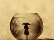 Palabras descubiertas redescubiertas