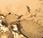 Atender ictus tiempo récord