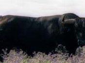 nuestros III: Villamarta