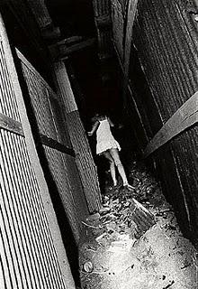 LAS CRIATURAS DE LA NOCHE DE DAIDO MORIYAMA