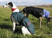 Andanzas dulces sueños....