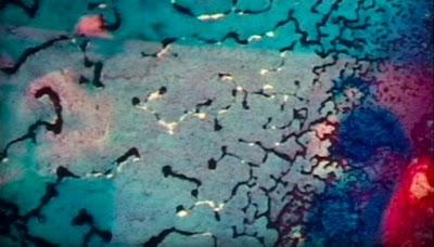 Reminiscencias abre el mes de diciembre