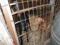 AYUDA URGENTE....LES QUEDAN TAN SOLO UNAS HORAS (SEVILLA)