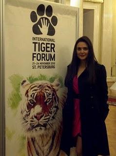 Preity Zinta protege a los tigres en Rusia