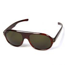 Cabinet of Curiosities