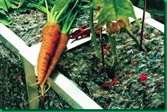 UrbanBuds 1 medium res-filtered