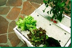 UrbanBuds 3 medium res