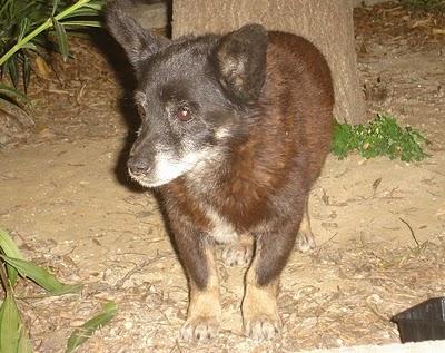 Hay que sacar a este abuelito de la calle antes de que apriete el invierno
