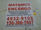 Mercenarios creativos