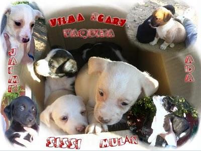 7 muñecos en una cajita