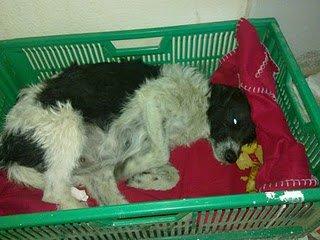 Se va a congelar!!!!!