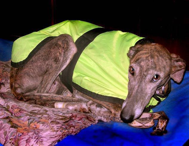 Novedades de Fatima :)