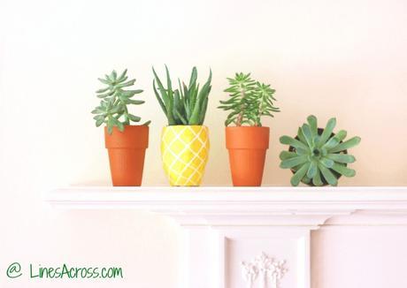 INSPIRACIÓN DIY: MACETERO-PIÑA INSPIRACIÓN DIY: MACETERO-PIÑA