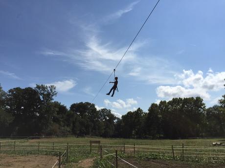 Aira-Natura-tirolinas