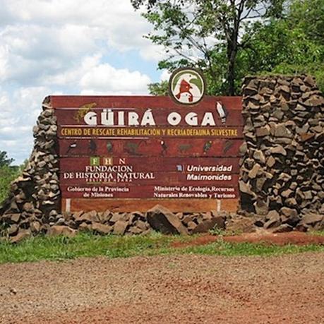 Centro de Recuperación y de Recría de Aves Amenazadas Güirá Ogá, en pleno corazón de la selva misionera.