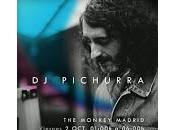 Pichurra Monkey
