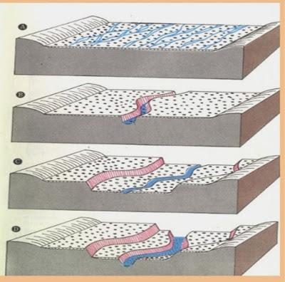 LA PENÍNSULA EN LA ERA CUATERNARIA