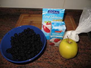 MOUSSE DE MORAS SILVESTRES