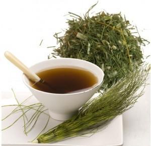 Trucos naturales para obtener uñas fuertes y sanas infusion de cola de caballo