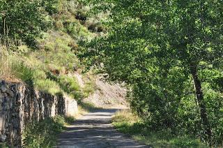 Algunas imagenes de Los espejos de la reina Verano 2015
