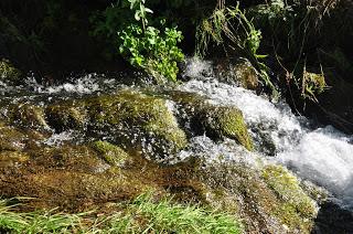 Algunas imagenes de Los espejos de la reina Verano 2015