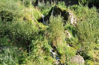 Algunas imagenes de Los espejos de la reina Verano 2015