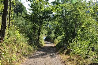 Algunas imagenes de Los espejos de la reina Verano 2015