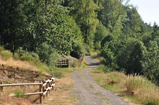 Algunas imagenes de Los espejos de la reina Verano 2015