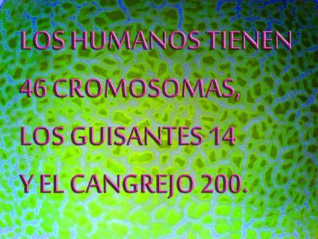 7 CURIOSIDADES QUE TE DEJARÁN CON LA BOCA ABIERTA 7 CURIOSIDADES QUE TE DEJARÁN CON LA BOCA ABIERTA