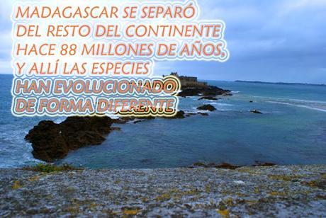 7 CURIOSIDADES QUE TE DEJARÁN CON LA BOCA ABIERTA 7 CURIOSIDADES QUE TE DEJARÁN CON LA BOCA ABIERTA