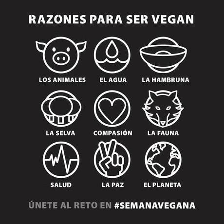 Semana Vegana en Instagram 2015