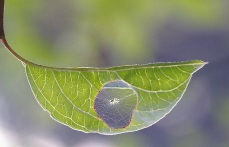 EN EL MOMENTO OPORTUNO