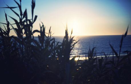 BE BOHOW. FALDA DE ANTE