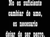 "suicidense señorías"