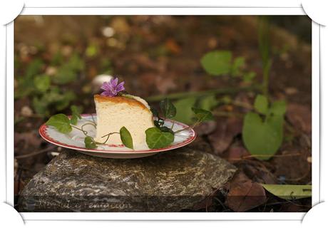 Cheesecake de Algodón Japones