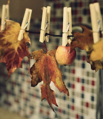 5 Claves deco para el otoño