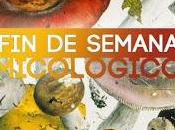 OFERTA: semana micológico Valle Jerte