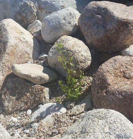 Otoño es una excusa