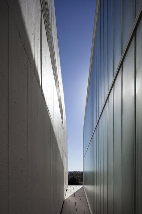 021 Mercado de Abrantes en Portugal, por ARX Portugal